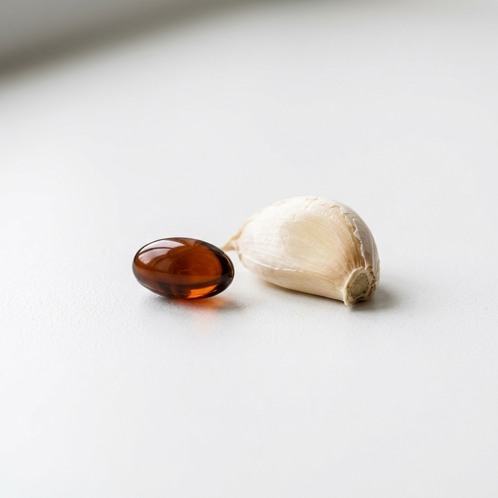 Aged Garlic Extract